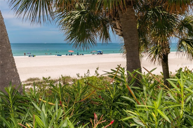 water view with local beach
