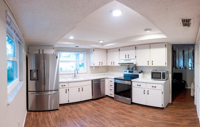 kitchen with under cabinet range hood, appliances with stainless steel finishes, a tray ceiling, and a sink