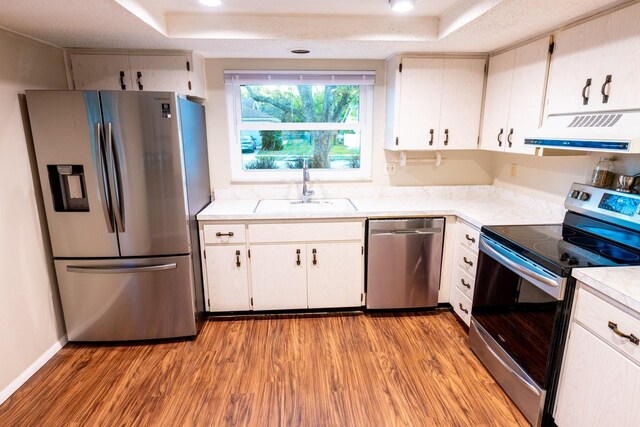 kitchen with light wood finished floors, a sink, stainless steel appliances, a raised ceiling, and exhaust hood