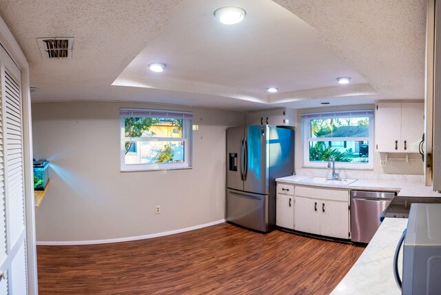 kitchen with a tray ceiling, stainless steel appliances, light countertops, and a sink