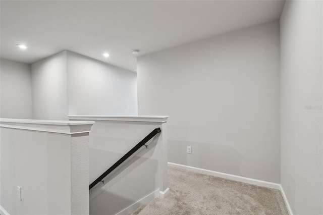 19398 Great Intention Way, Lutz, FL 33558 - walk in closet with carpet floors