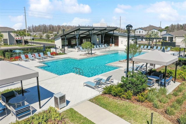 19398 Great Intention Way, Lutz, FL 33558 - pool featuring a residential view and a patio
