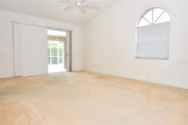 3876 Darston St, Palm Harbor, FL 34685 - photo 3