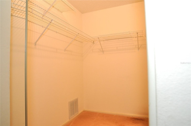 3876 Darston St, Palm Harbor, FL 34685 - photo 23
