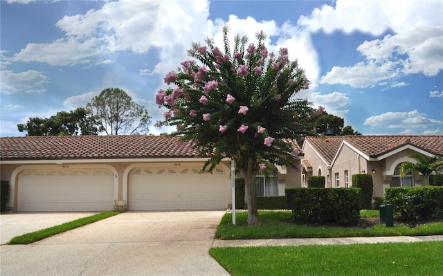 3876 Darston St, Palm Harbor, FL 34685 - photo 1