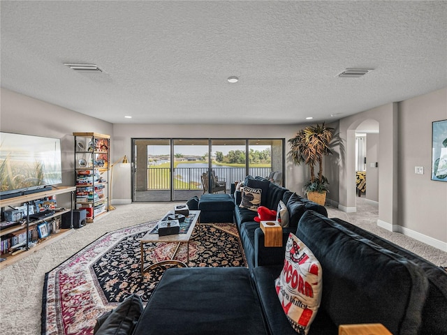 12808 Boggy Creek Dr, Riverview, FL 33579 - carpeted living room featuring arched walkways, a textured ceiling, baseboards, and visible vents