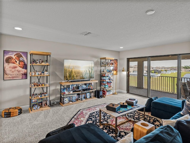 12808 Boggy Creek Dr, Riverview, FL 33579 - living area with baseboards, carpet flooring, and a textured ceiling
