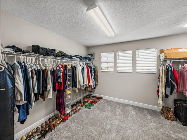 12808 Boggy Creek Dr, Riverview, FL 33579 - spacious closet featuring carpet