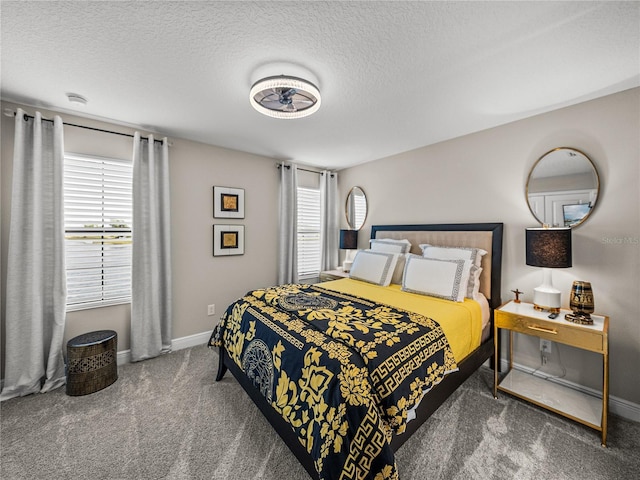 12808 Boggy Creek Dr, Riverview, FL 33579 - bedroom featuring carpet flooring, a textured ceiling, and multiple windows