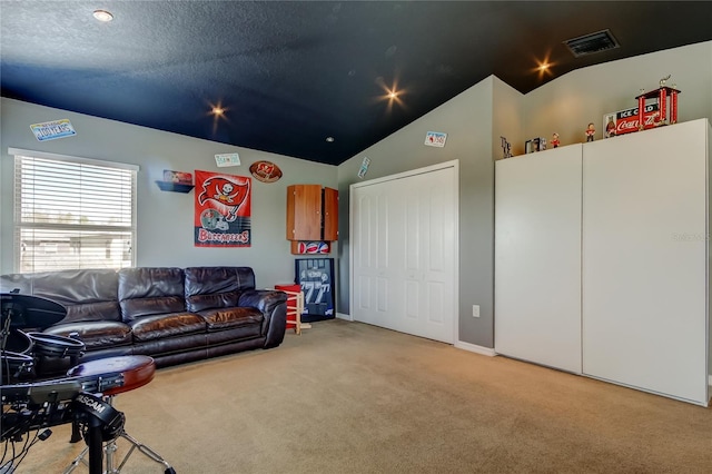 4250 Warwick Hills Dr, Wesley Chapel, FL 33543 - living area with carpet and vaulted ceiling