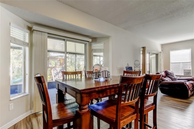 4250 Warwick Hills Dr, Wesley Chapel, FL 33543 - dining area featuring light wood-style floors, healthy amount of natural light, baseboards, and a textured ceiling