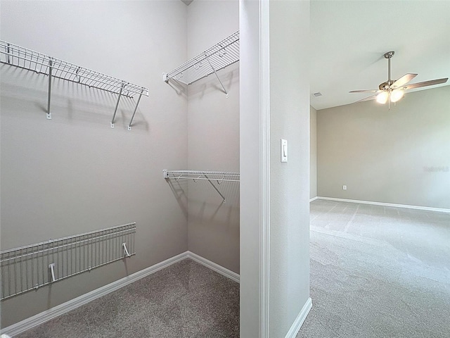 8102 N Voyager Dr, Citrus Springs, FL 34433 - photo 27