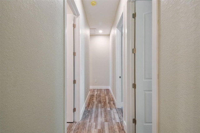 4559 Mitcher Rd, New Port Richey, FL 34652 - hallway with a textured wall, light wood-style flooring, and recessed lighting