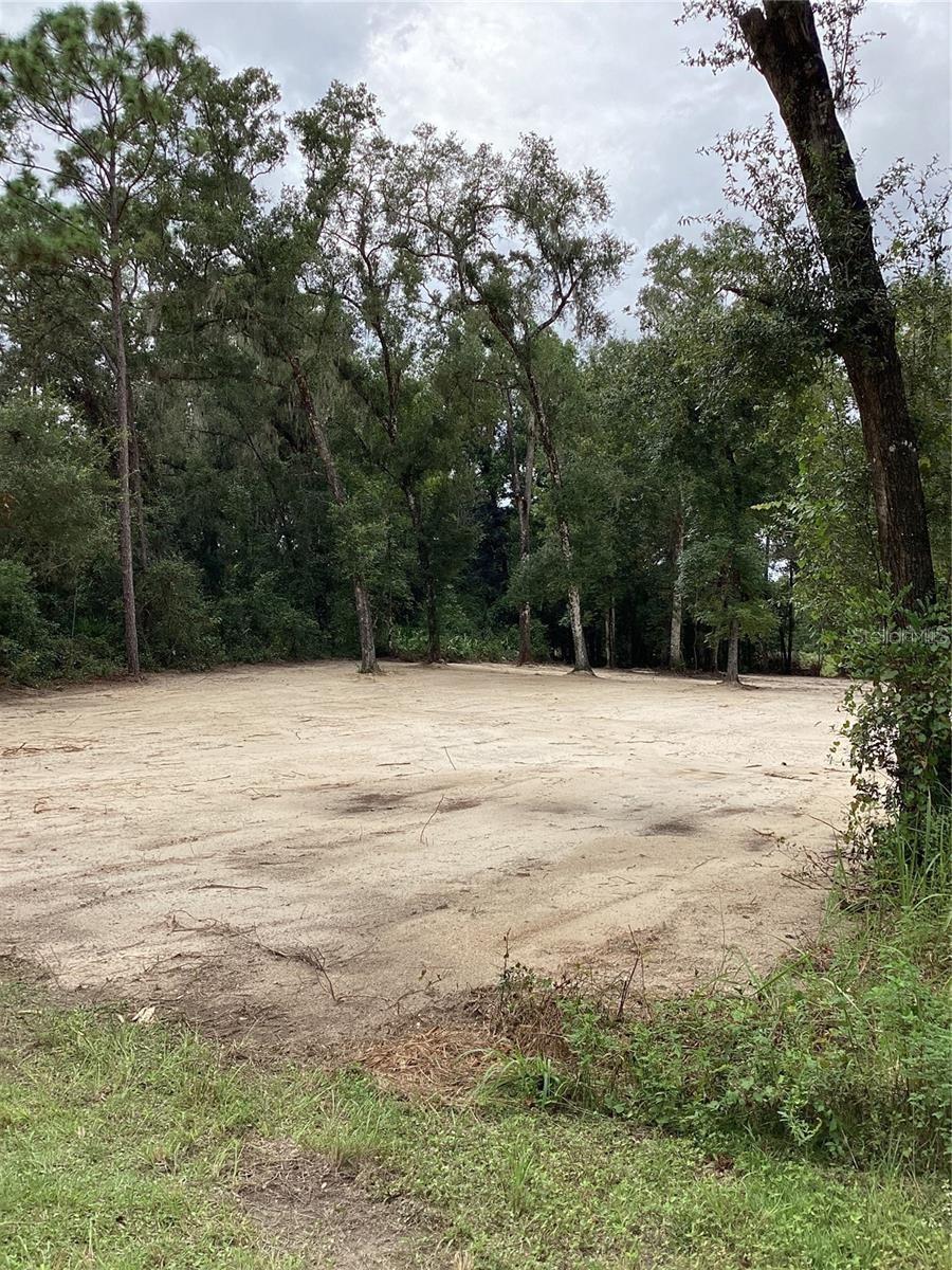 Smallman, Webster, FL 33597 - photo 1