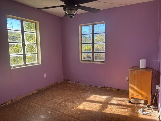 306 Nichele Blvd, Lake Placid, FL 33852 - photo 4