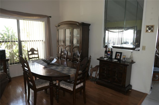8609 Thimbleberry Ln, Tampa, FL 33635 - dining space featuring wood finished floors and plenty of natural light