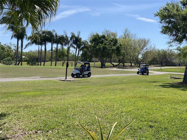 10 Arbor Ln, Oldsmar, FL 34677 - view of community featuring a lawn