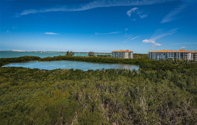 4801 Osprey Dr S Unit 508, Saint Petersburg, FL 33711 - property view of water