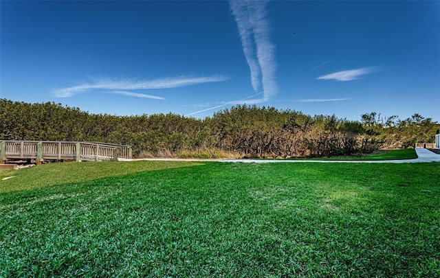 4801 Osprey Dr S Unit 508, Saint Petersburg, FL 33711 - view of yard with a forest view