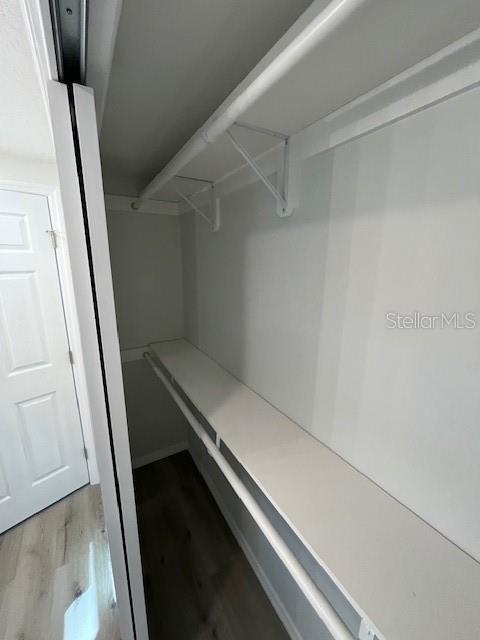 spacious closet with light wood-type flooring