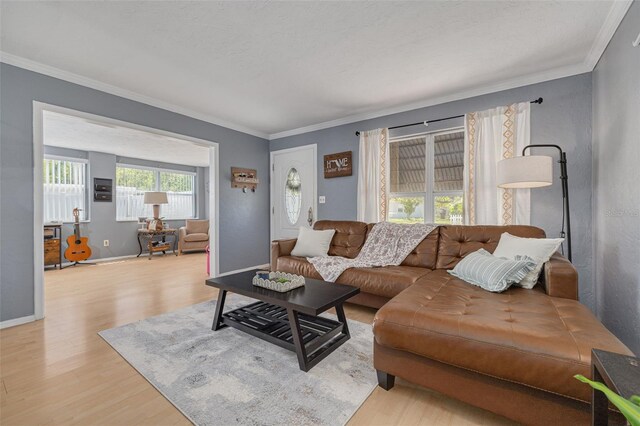 1541 68th Ave N, Saint Petersburg, FL 33702 - photo 7