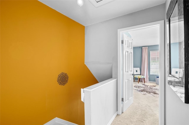 14019 Notreville Way, Tampa, FL 33624 - hallway featuring carpet floors and an upstairs landing