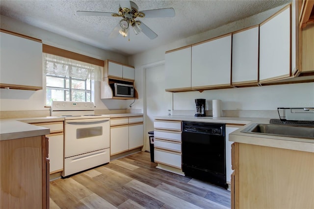 10514 52nd Ave N, Saint Petersburg, FL 33708 - photo 11