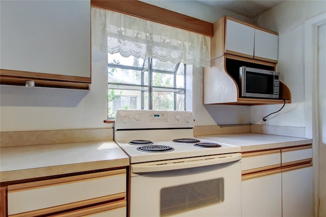 10514 52nd Ave N, Saint Petersburg, FL 33708 - photo 13