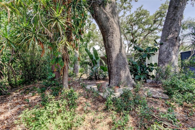 10514 52nd Ave N, Saint Petersburg, FL 33708 - photo 35