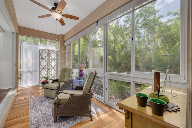 4206 Preserve Pl, Palm Harbor, FL 34685 - photo 6