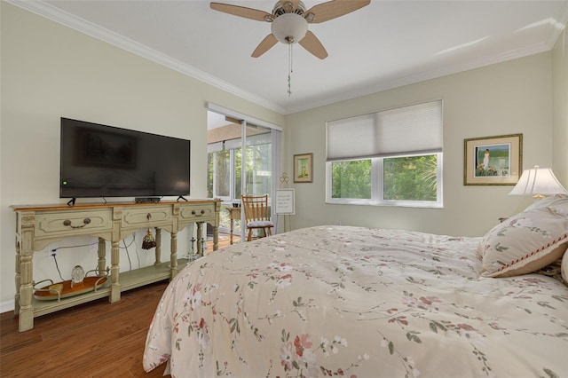 4206 Preserve Pl, Palm Harbor, FL 34685 - photo 15
