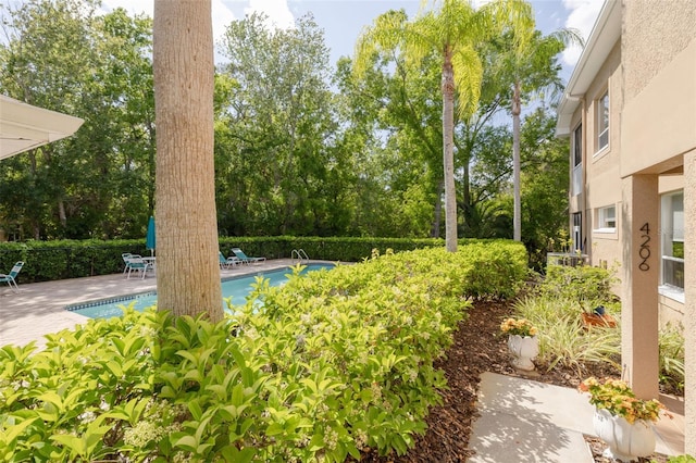 4206 Preserve Pl, Palm Harbor, FL 34685 - photo 26