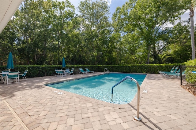 4206 Preserve Pl, Palm Harbor, FL 34685 - photo 27