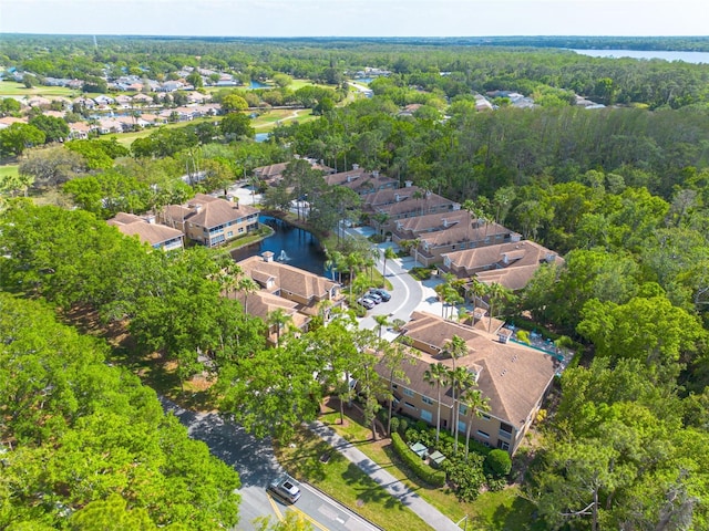 4206 Preserve Pl, Palm Harbor, FL 34685 - photo 34