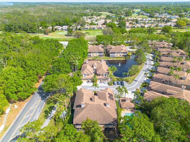 4206 Preserve Pl, Palm Harbor, FL 34685 - photo 33