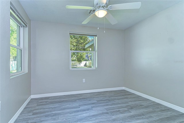 804 Shore Dr W, Oldsmar, FL 34677 - unfurnished room with baseboards, a healthy amount of sunlight, and wood finished floors