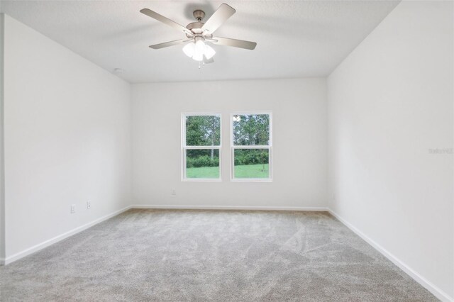 11336 Tiburon Dr, Jacksonville, FL 32221 - photo 14