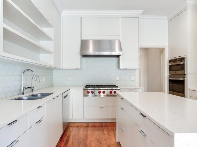 kitchen featuring wall chimney exhaust hood, appliances with stainless steel finishes, a sink, light wood-type flooring, and tasteful backsplash