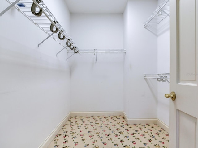 view of walk in closet