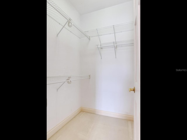 view of spacious closet