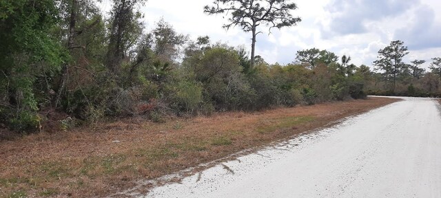 Silver Palm Dr, Indian Lake Estates, FL 33855 - photo 5