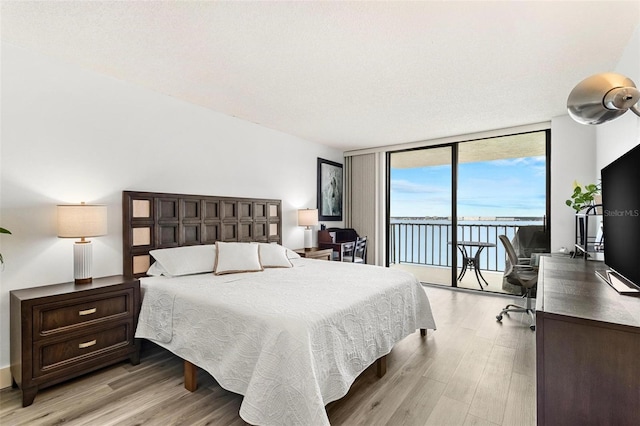 6265 Sun Blvd Unit 1201, Saint Petersburg, FL 33715 - bedroom with expansive windows, access to outside, and light wood finished floors