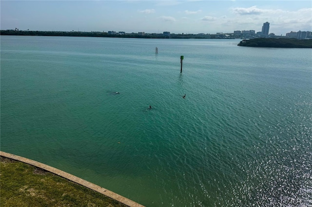 895 S Gulfview Blvd Unit 309, Clearwater Beach, FL 33767 - view of water feature featuring a view of city