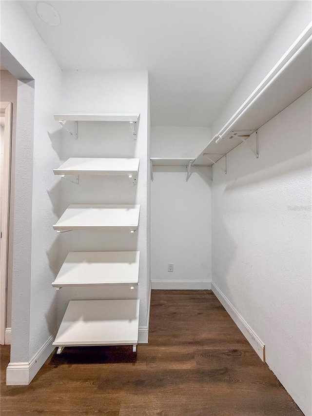spacious closet featuring wood finished floors