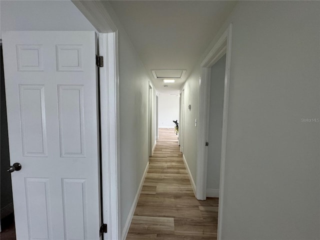 7608 Lakeside Blvd, Tampa, FL 33614 - photo 6