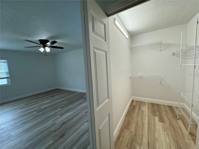 7608 Lakeside Blvd, Tampa, FL 33614 - photo 22