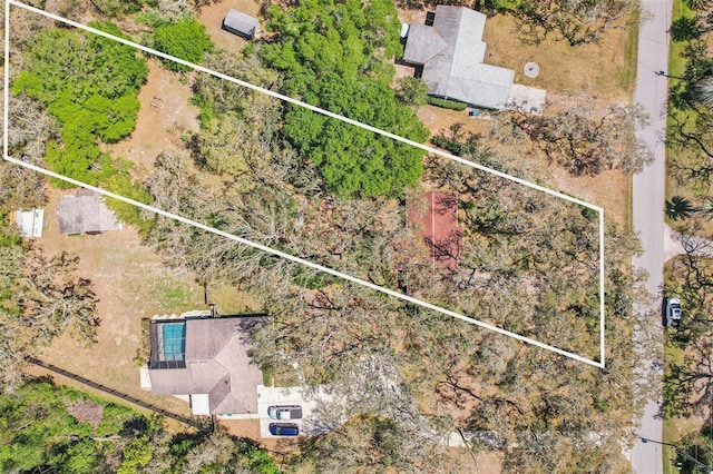 bird's eye view