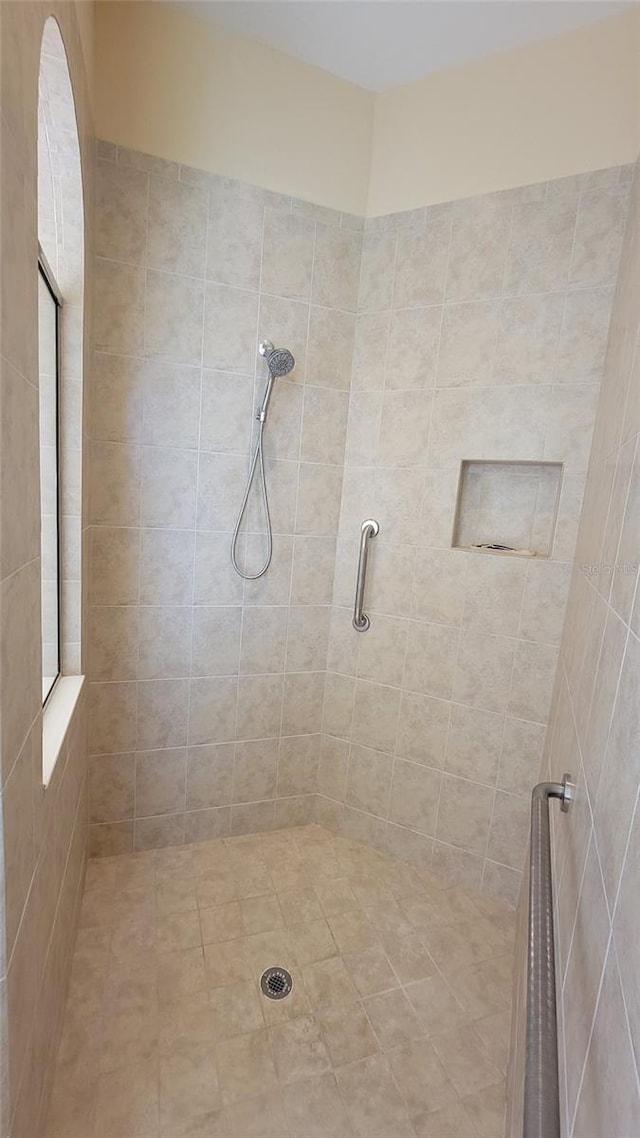 2218 132nd Pl E, Parrish, FL 34219 - full bath with tiled shower