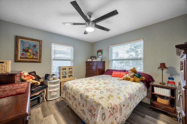 7912 3rd Ave S, Saint Petersburg, FL 33707 - bedroom featuring wood finished floors, multiple windows, and a ceiling fan