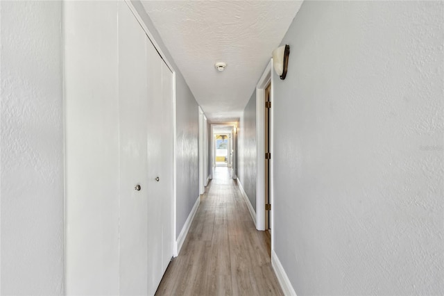2970 68th Ave S, Saint Petersburg, FL 33712 - photo 35